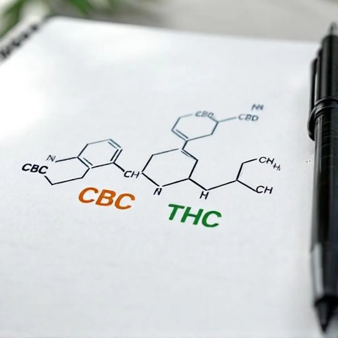Molecular structures of CBC, CBD, and THC with color-coded chemical backbones displayed on lab notebook background.